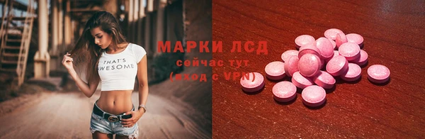 PSILOCYBIN Михайлов