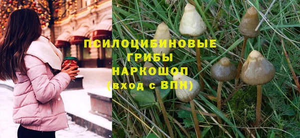 крисы Мегион