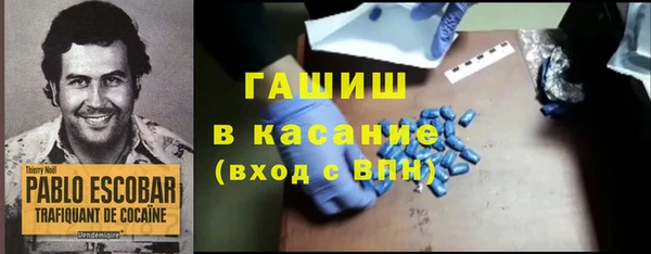 крисы Мегион