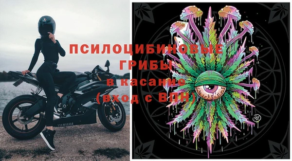 крисы Мегион