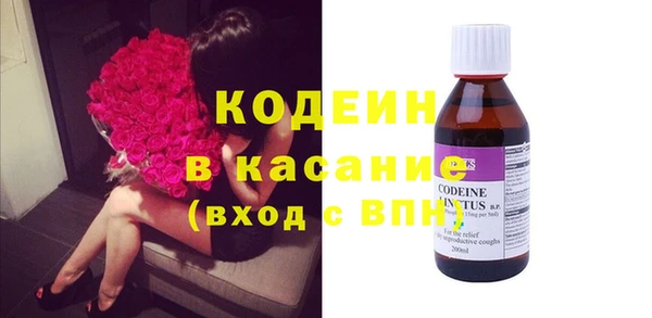 крисы Мегион