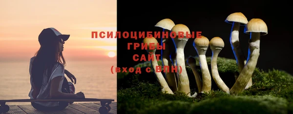 соль ск Медногорск