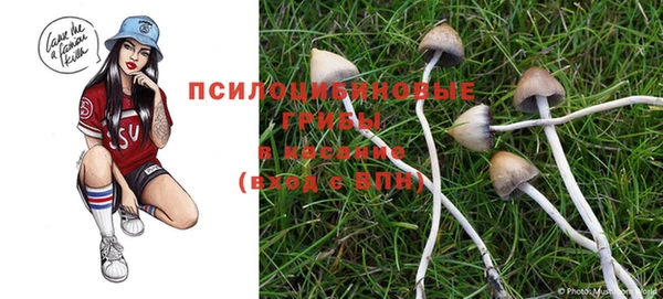 2c-b Рославль
