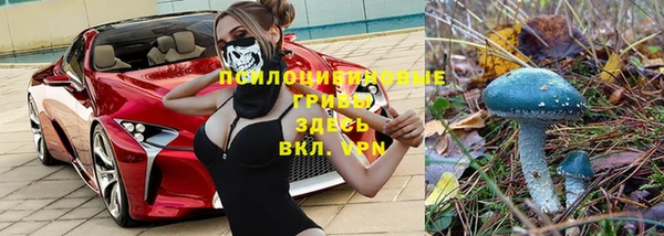 каннабис Медвежьегорск