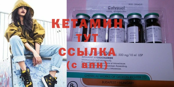 крисы Мегион