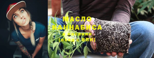 крисы Мегион