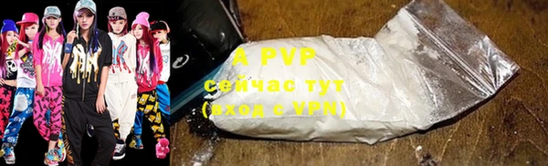 крисы Мегион