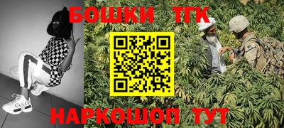 гашик Волжский