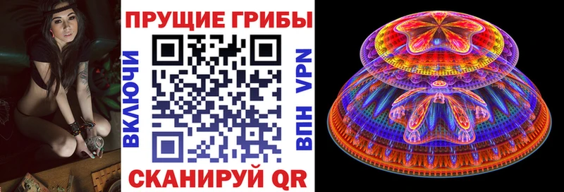 Галлюциногенные грибы мицелий  купить наркотик  Кольчугино 