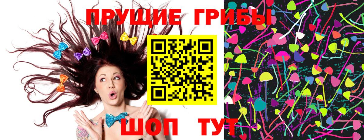 Псилоцибиновые грибы Psilocybine cubensis  Вход с VPN  купить наркотик  Кольчугино  Псилоцибиновые грибы Cubensis 